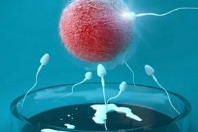 广东广州助孕公司前3名介绍，广州助孕机构排名前三及简要介绍