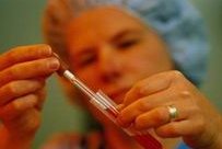 2026年无结婚证去大连做试管可以吗？试管流程／费用全攻略