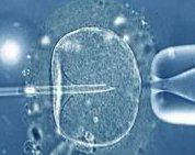 杭州助孕行业龙头企业盘点：揭秘杭城最佳助孕机构三大榜单