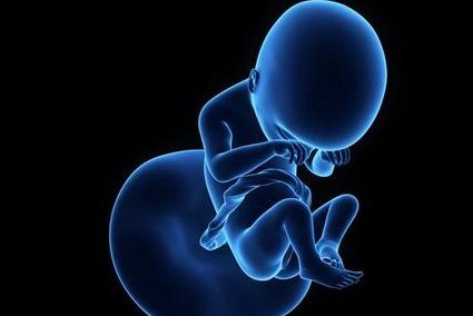 2026年南昌三代试管婴儿助孕费用一览，精准助孕方案揭晓！