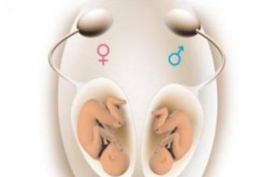 湖北可以做单身三代试管助孕的医院