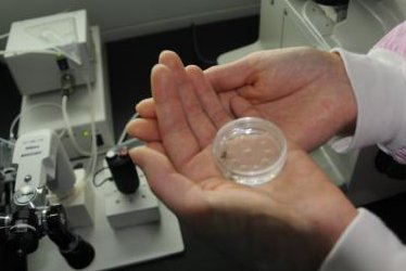 大连优质助孕机构推荐：揭秘哪家助孕公司值得信赖？